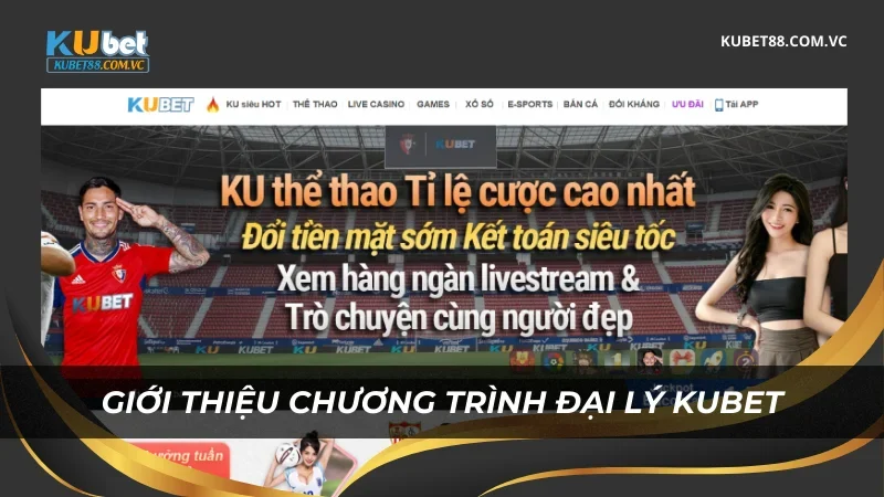 Giới thiệu về đại lý Kubet
